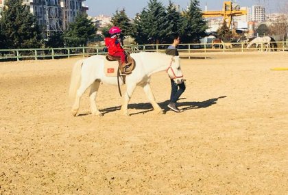 KENANBEY AT ÇİFTLİĞİ